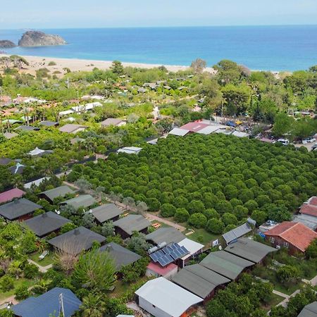 Cirali Zakkum Bungalow Buitenkant foto