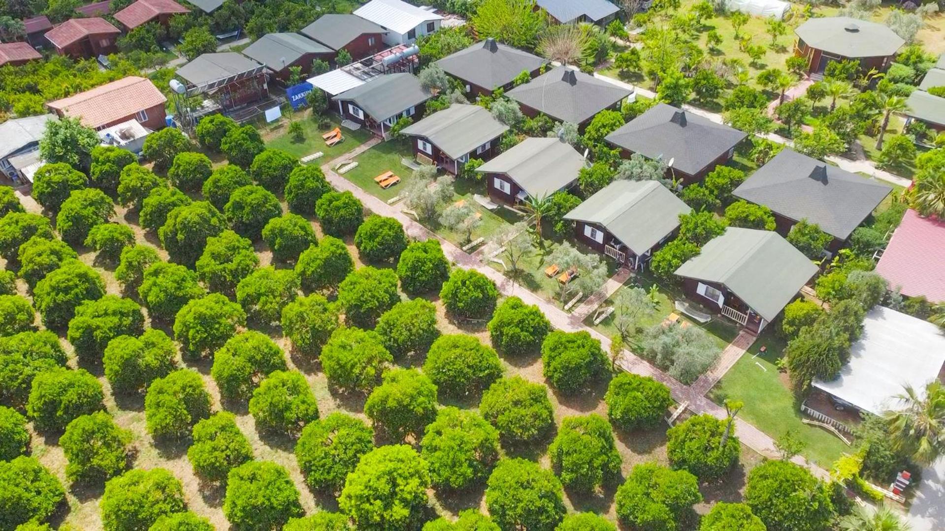 Cirali Zakkum Bungalow Buitenkant foto